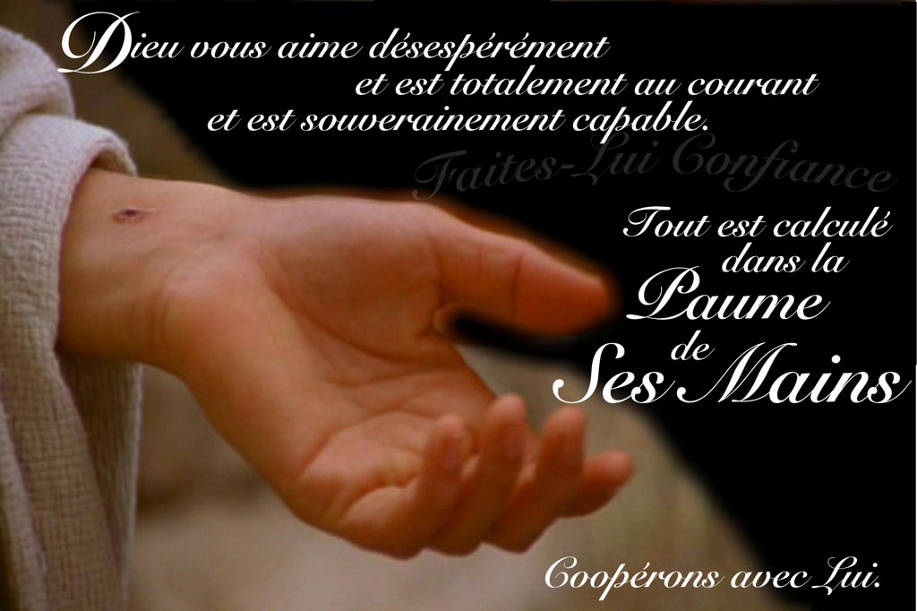 Dans la Paume de Ses Mains